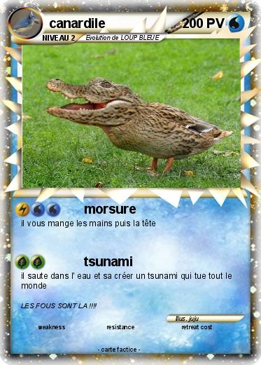 Pokemon canardile