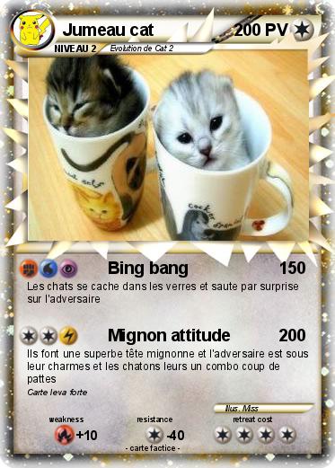 Pokemon Jumeau cat