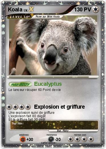 Pokemon Koala