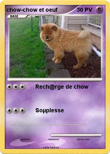 Pokemon chow-chow et oeuf