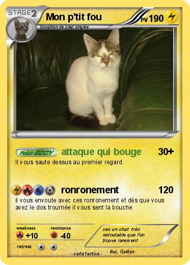 Pokemon Mon p'tit fou