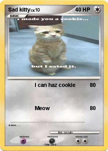 Pokemon Sad kitty