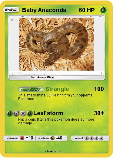 Pokemon Baby Anaconda