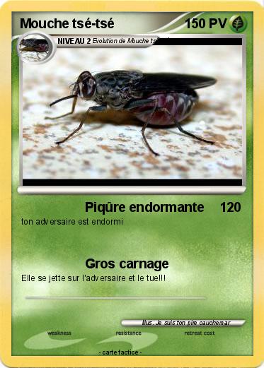 Pokemon Mouche tsé-tsé