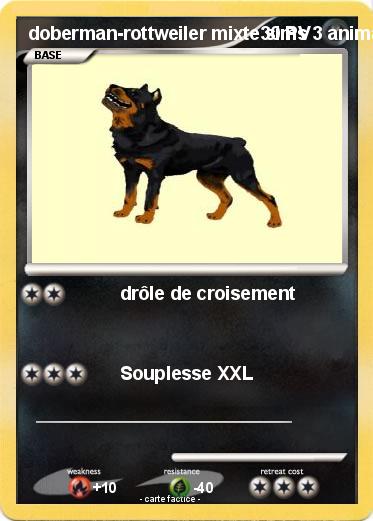Pokemon doberman-rottweiler mixte sims 3 animaux & cie