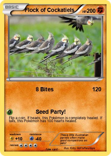 Pokemon Flock of Cockatiels
