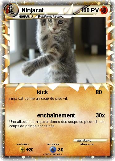 Pokemon Ninjacat
