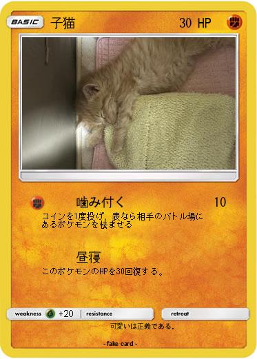 Pokemon 子猫