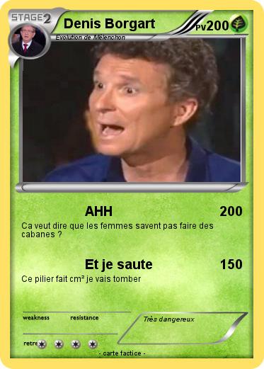 Pokemon Denis Borgart