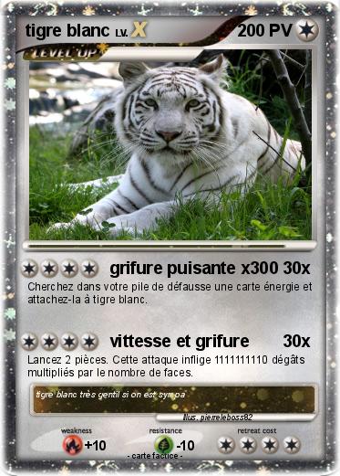 Pokemon tigre blanc
