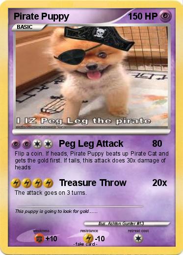 Pokemon Pirate Puppy