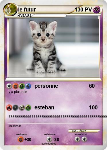 Pokemon le futur