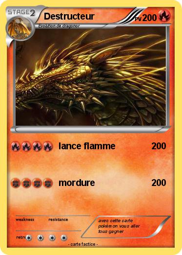 Pokemon Destructeur