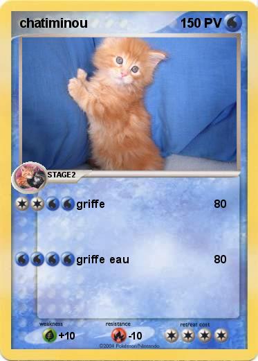 Pokemon chatiminou
