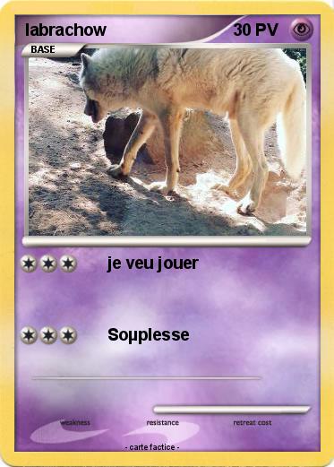 Pokemon labrachow