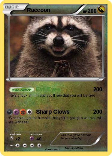Pokemon Raccoon