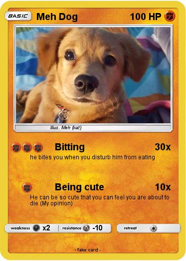 Pokemon Meh Dog