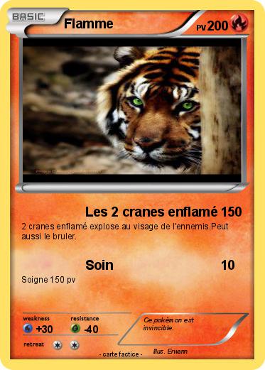 Pokemon Flamme
