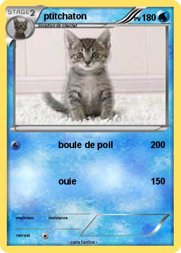 Pokemon ptitchaton