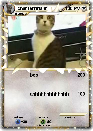 Pokemon chat terrifiant