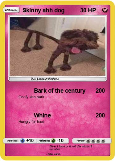 Pokemon Skinny ahh dog