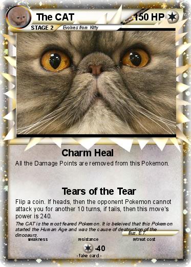 Pokemon The CAT