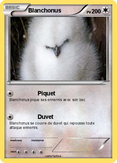Pokemon Blanchonus