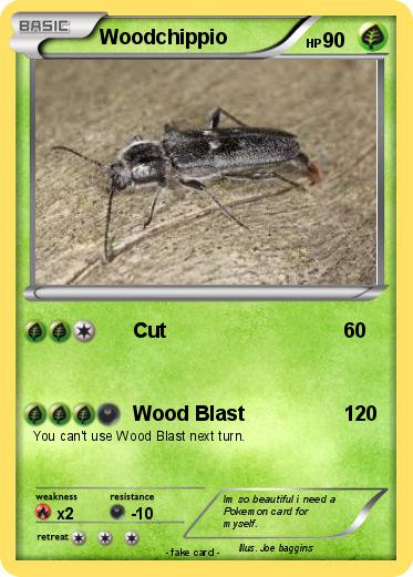 Pokemon Woodchippio