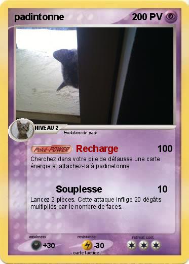 Pokemon padintonne