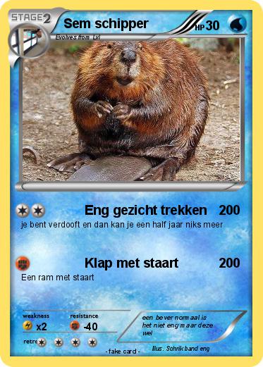 Pokemon Sem schipper