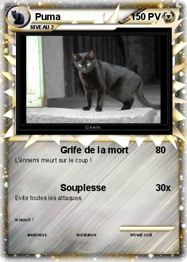 Pokemon Puma