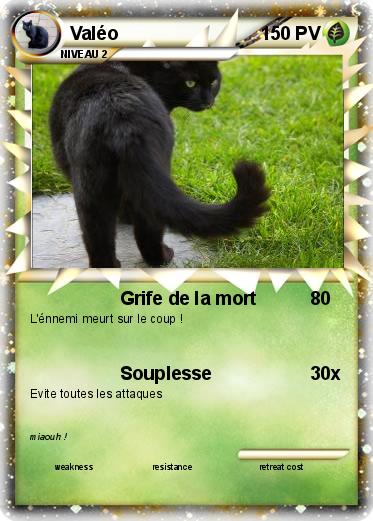 Pokemon Valéo