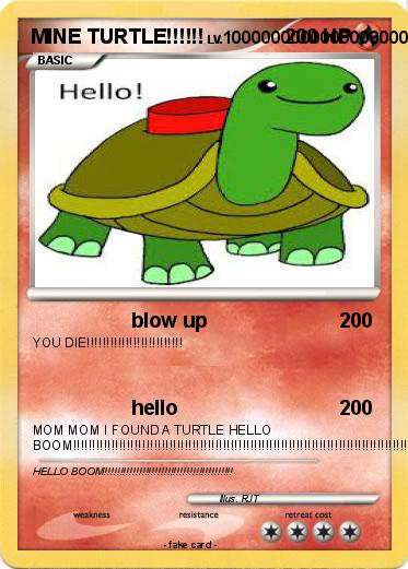 Pokemon MINE TURTLE!!!!!!