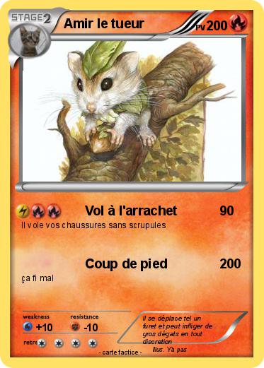 Pokemon Amir le tueur