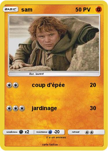 Pokemon sam