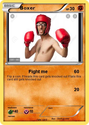 Pokemon Boxer