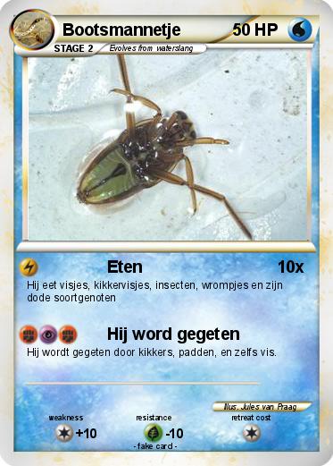Pokemon Bootsmannetje