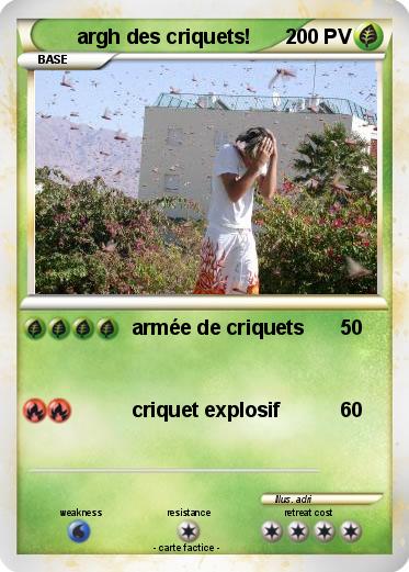 Pokemon argh des criquets!
