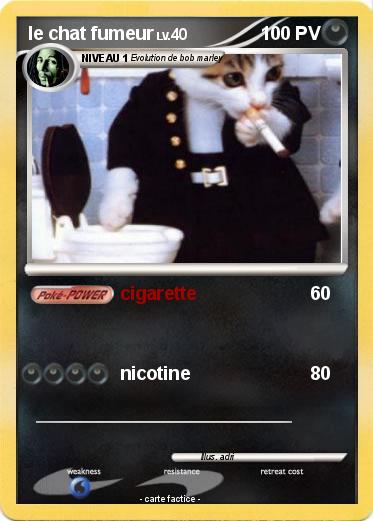 Pokemon le chat fumeur