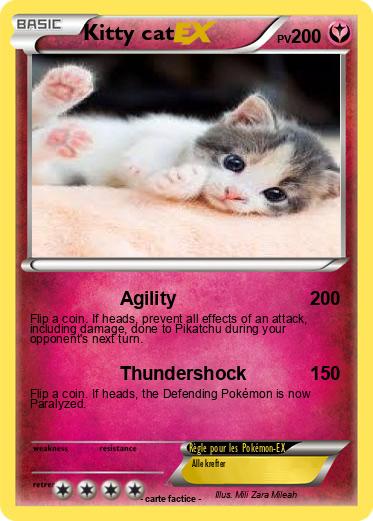 Pokemon Kitty cat