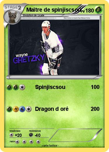 Pokemon Maître de spinjiscsou