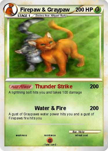 Pokemon Firepaw & Graypaw