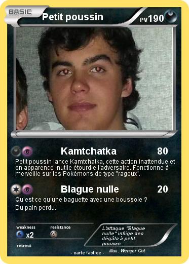 Pokemon Petit poussin