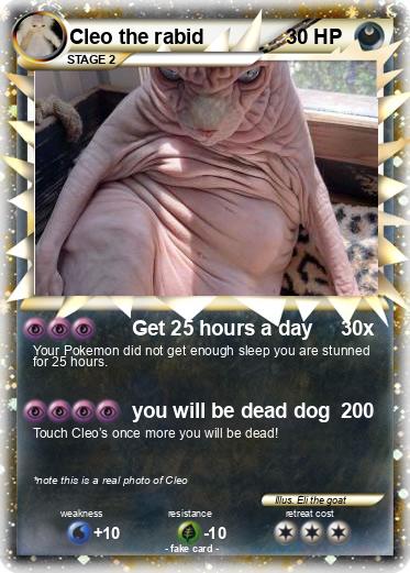 Pokemon Cleo the rabid