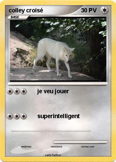 Pokemon colley croisé