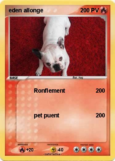 Pokemon eden allonge