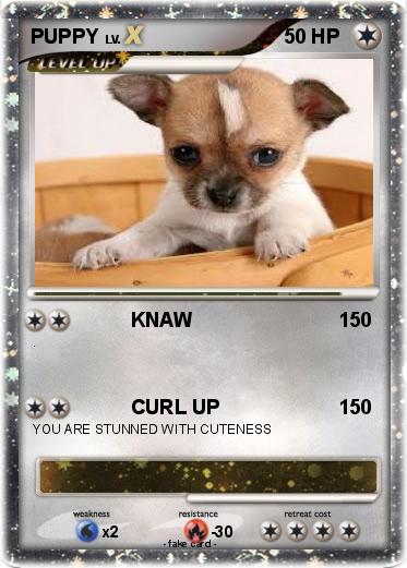 Pokemon PUPPY