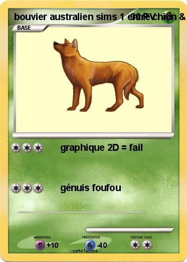 Pokemon bouvier australien sims 1 entre chien & chat