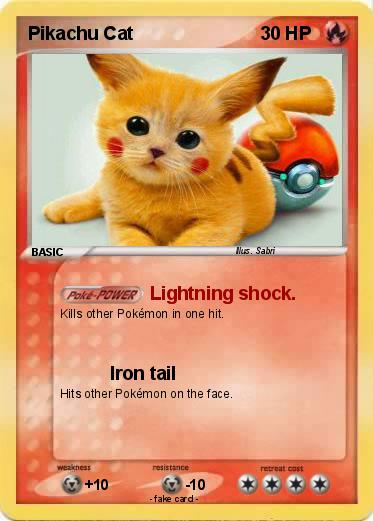 Pokemon Pikachu Cat