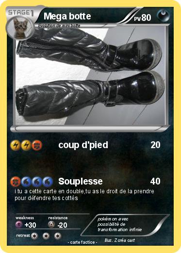 Pokemon Mega botte